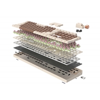 TTC Golden-Pink Switches