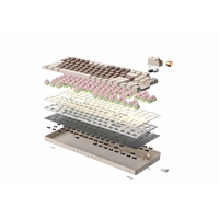 TTC Golden-Pink Switches