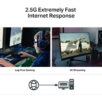 TP-Link TX201 2.5 Gigabit PCIe Network Adapter