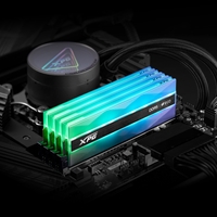 Silver RGB System Memory