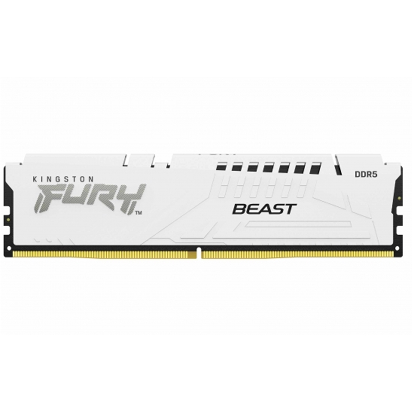 Kingston FURY Beast (KF560C36BWE2-16) 16GB System Memory