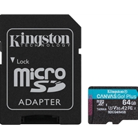 Kingston Canvas Go! Plus SDCG4/256GB 256GB Micro SD Card